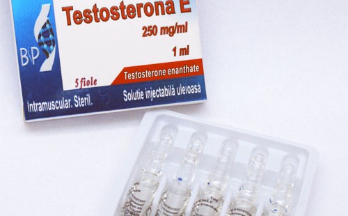 Тестостерон Енантат Testosteron Depo