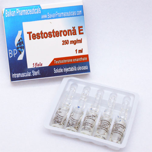 Тестостерон Енантат Testosteron Depo