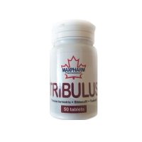 tribulus sildenafil tadalfil maxpharm kanadski