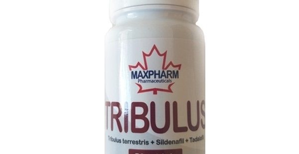 tribulus sildenafil tadalfil maxpharm kanadski