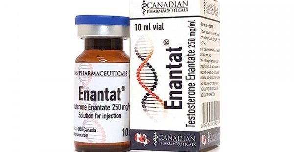 enantat canada testosterone enanthate-250mg-canadian