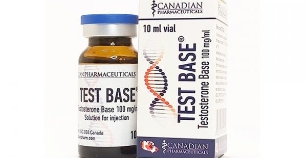 test base canada-тестостерон-база